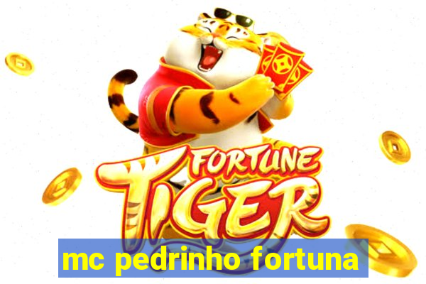 mc pedrinho fortuna